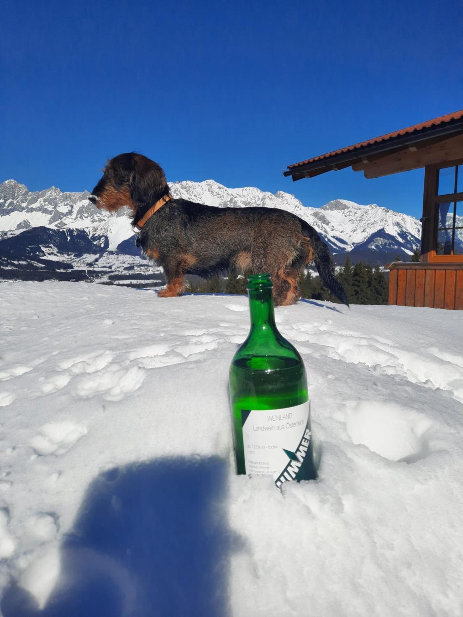 Appartamento Haus Rigl Schladming Esterno foto
