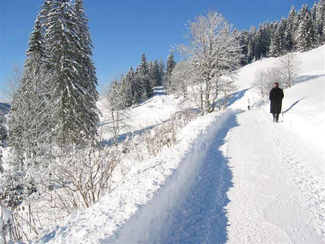 Appartamento Haus Rigl Schladming Esterno foto